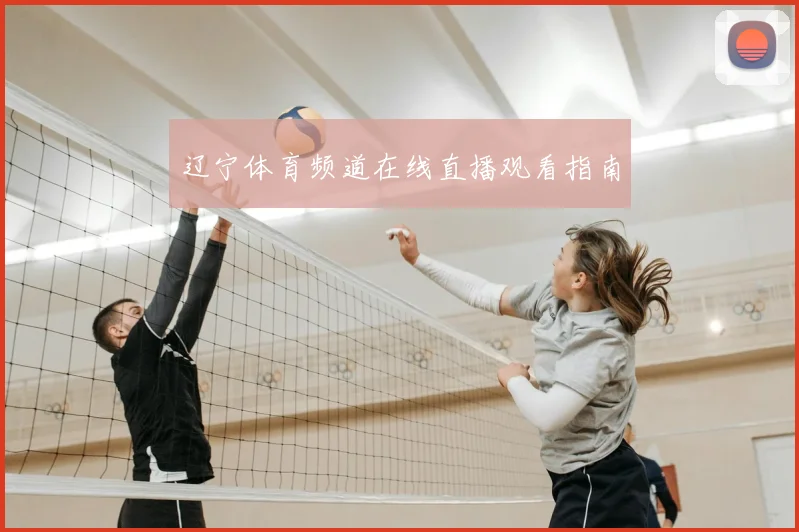 辽宁体育频道在线直播观看指南