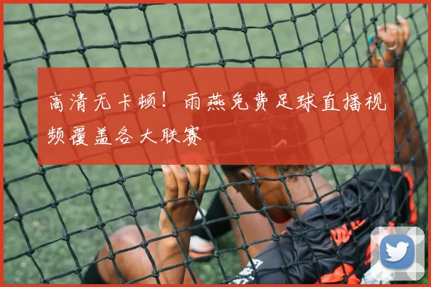 高清无卡顿！雨燕免费足球直播视频覆盖各大联赛