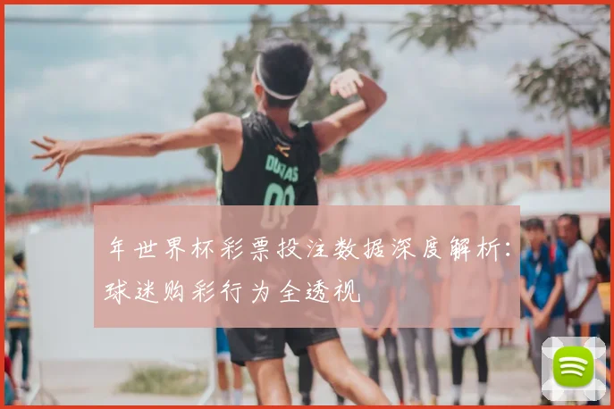 年世界杯彩票投注数据深度解析:球迷购彩行为全透视