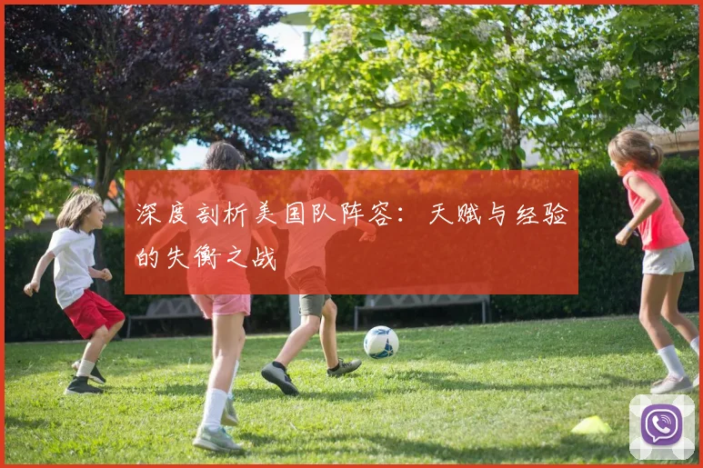 深度剖析美国队阵容：天赋与经验的失衡之战