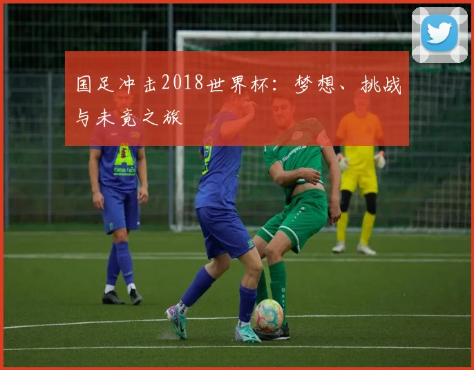 国足冲击2018世界杯：梦想、挑战与未竟之旅