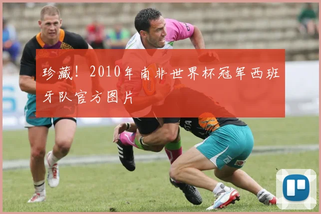珍藏！2010年南非世界杯冠军西班牙队官方图片