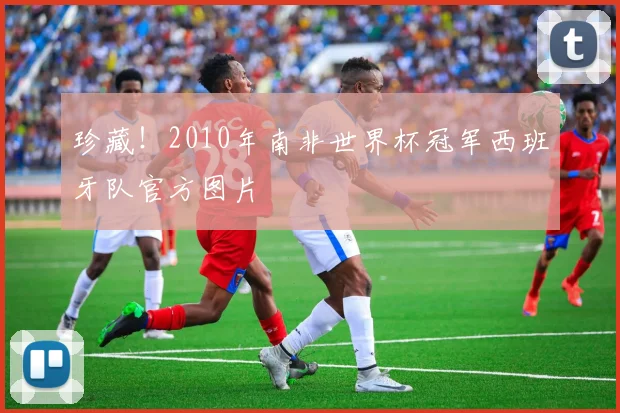 珍藏!2010年南非世界杯冠军西班牙队官方图片