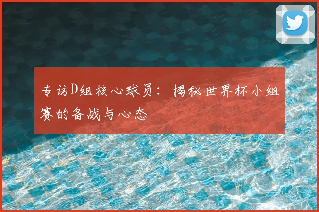 专访D组核心球员:揭秘世界杯小组赛的备战与心态
