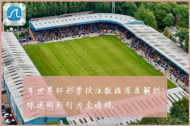 年世界杯彩票投注数据深度解析:球迷购彩行为全透视