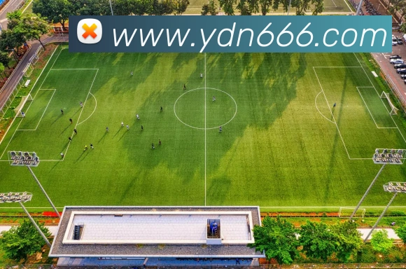 乐竞平台生态图